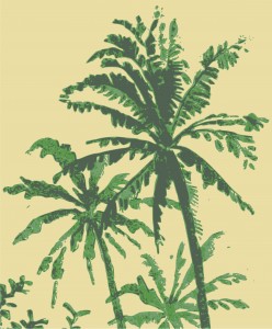 Palm Tree Vibes