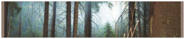 3” x 15” Panoramic Photo Sticker