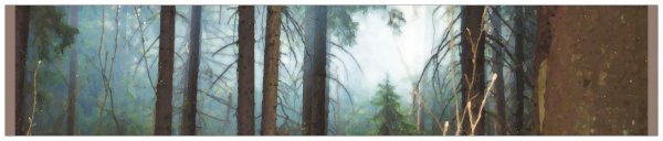 3" x 15" Panoramic Photo Sticker