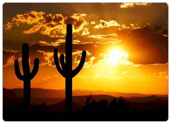 5” x 7” Landscape Photo Sticker