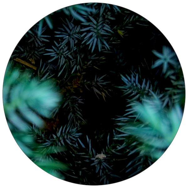 8” Circle Sticker Shape